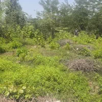 یک قطعه زمین مسکونی در جاده شهر بیجار
