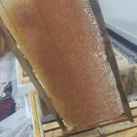 عسل بهاره کوهستان گرمسیر