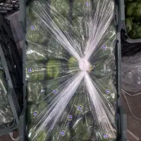 استخدام خانم بسته‌بندی صیفی جات