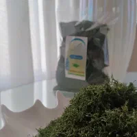 شوید خشک سرگل تازه خانگی هرنگ