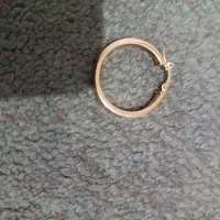 گوشواره گم شده