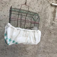 قفس سهره