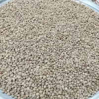 قهوه سبز