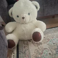 خرس پشمی اصل