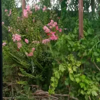 فروش خط۹۱۲۸۰۹۰۳۲۴