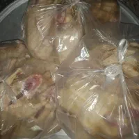 فروش تک و عمده محصولات محلی اردک محلی مرغ هلندی