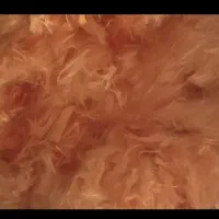 الیاف ابریشمی بلکا
