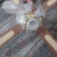 لوستر پنکه دار