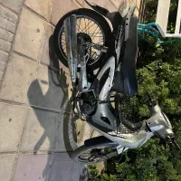 موتور بیکلاچ مارک دینو