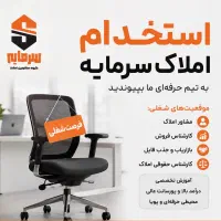 استخدام مشاور حرفه ای و مبتدی/املاک سرمایه/ملکشهر