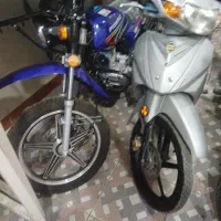 پیشتاز شکاری 1404