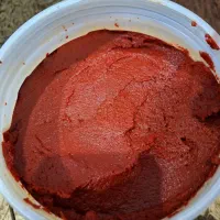 رب خانگی