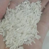 برنج هاشمی تازه مال امسال با پخت خدایش عالی