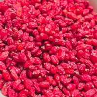 زرشک پفکی درجه یک بصورت کلی وجزئی بفروش میرسد