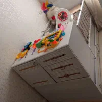 سرویس خواب کودک ونوجوان