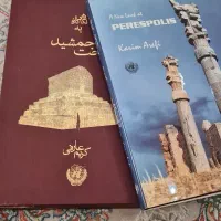 مجموعه نفیس عکس تخت جمشید