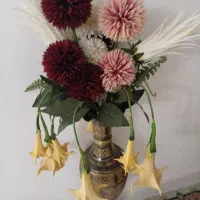 گلها نو