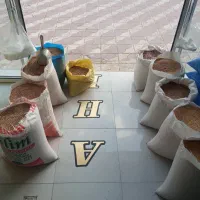 مخلوط شرکتی  درجه یک و انواع دانه پرنده