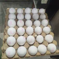 تخم شانه کارتونی 420