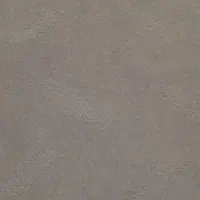 موکت سالم وتمیز