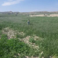 زمین مناسب باغ و ویلا در خانلق