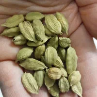 هل اکبر بنفش دانه درشت اصل