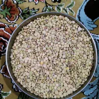نخود و عدس محلی