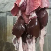 جگر بره و بزغاله ۱ میلیون