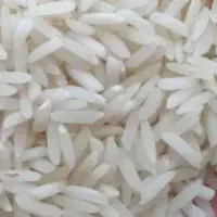 برنج هاشمی محصول شخصی و مستقیم از کشاورز