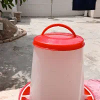 فروش یک عدد ظرف غذا مرغ