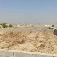 زمین ۲۴۰ متر کوی انصار