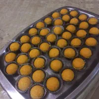انواع پیش غذا ودسر بلوط
