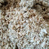 کندل وشا اشترک وشق اوشق