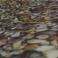 موکت طرح