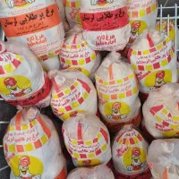 مرغ گرم روز ۳۰۰