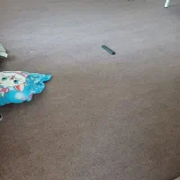 موکت