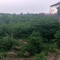 زمین مسکونی ۲۶۴ متری با سند تک برگ در آزاربن