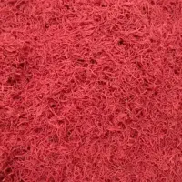ریشه زعفران تمیز و درجه یک