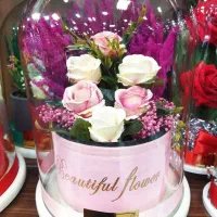 باکس گل و عروسک شیشه ای