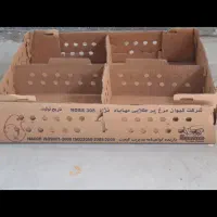 استخدام کارگر ساده و حرفه ای در کارتن سازی