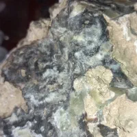 شجرمعدنی شجردریایی