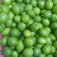 آبلیموی طبیعی و اورگانیک