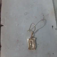 گوشواردرحدنو