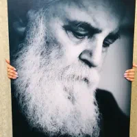 تخته شاسی عکس و بوم