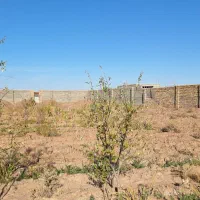 ز م ی ن سرچاه زنگویی