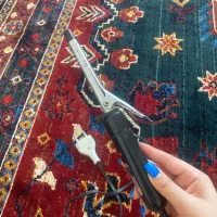 بابلیس ،فر کننده مو