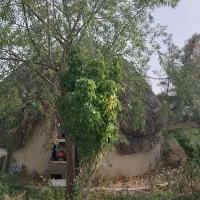 باغ