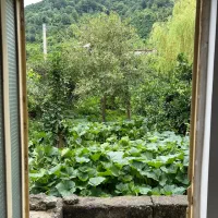 خانه-ویلایی-با-چشم-انداز-زیبا-دربست-رهن-و-اجاره