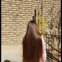 خرید و فروش مو ( خریدار اصلی )