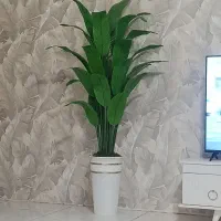 درختچه گل پرنده بهشتی